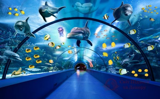 Фотошпалери 2 Дитячі, арт. 29605 фото №1