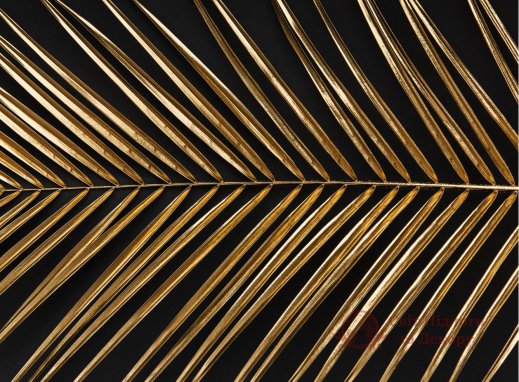 Фотообои 2 Дизайнерские листья, арт. 29913 фото №1