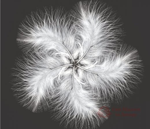 Фотообои 2 3D, арт. 15747 фото №1