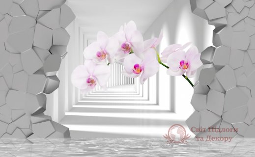 Фотообои 2 3D, арт. 17620 фото №1