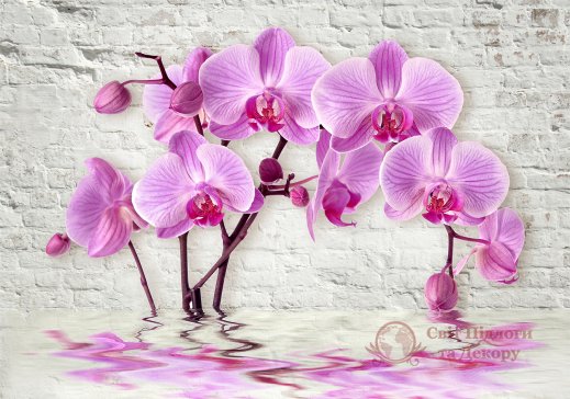 Фотошпалери 2 3D, арт. 18762 фото №1