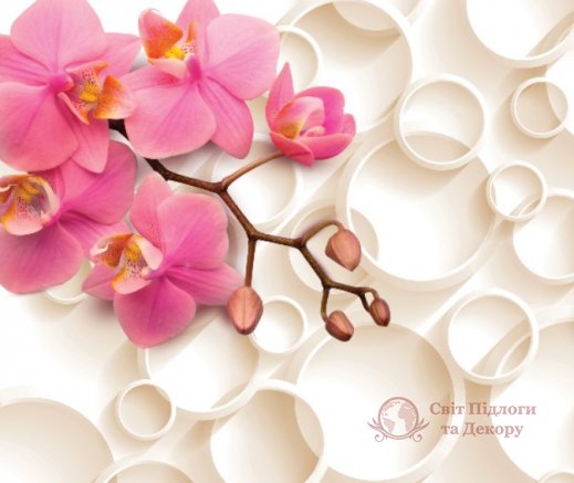 Фотообои 2 3D, арт. 19276 фото №1 Фотообои 2 3D, арт. 19276 фото №1