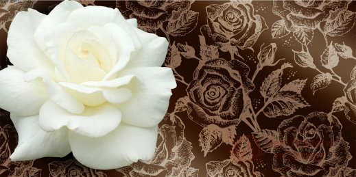 Фотообои 2 3D, арт. 22113 фото №1