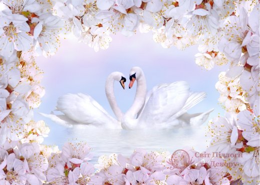 Фотообои 2 3D, арт. 22690 фото №1 Фотообои 2 3D, арт. 22690 фото №1