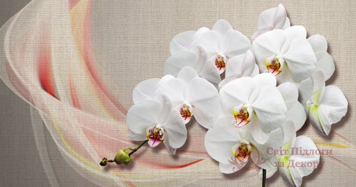 Фотообои 2 3D, арт. 23081 фото №1