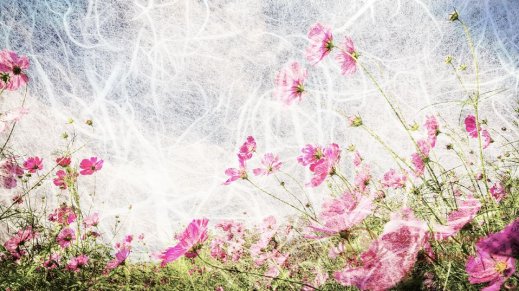 Фотошпалери 2 Дизайнерські квіти, арт. 17272 фото №1