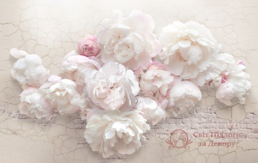 Фотообои 2 Дизайнерские цветы, арт. 23940 фото №1