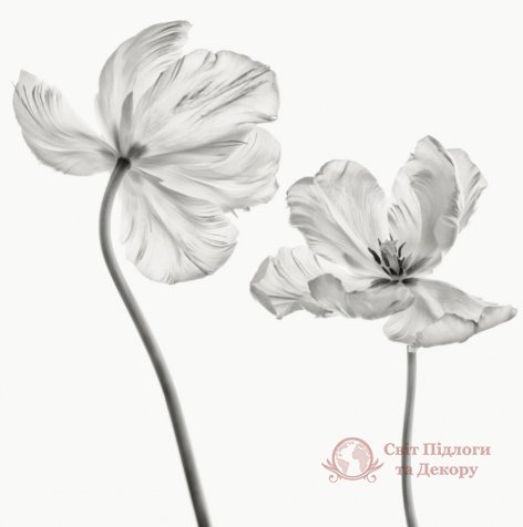 Фотообои 2 Дизайнерские цветы, арт. 26711 фото №1