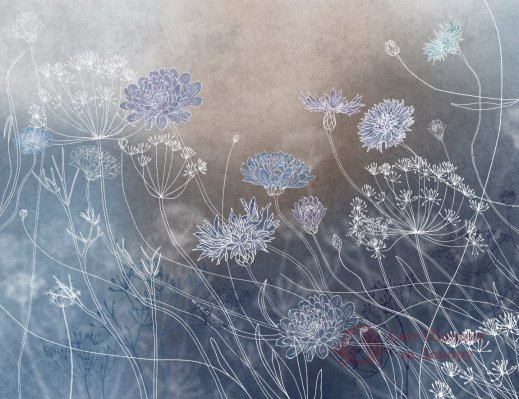 Фотообои 2 Дизайнерские цветы, арт. 30817 фото №1