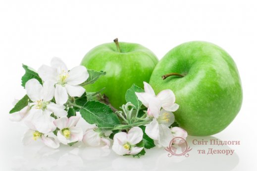 Фотообои 2 Еда и напитки, арт. 13284 фото №1