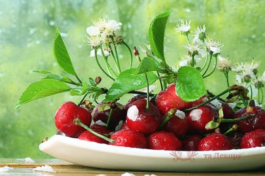 Фотообои 2 Еда и напитки, арт. 13413 фото №1