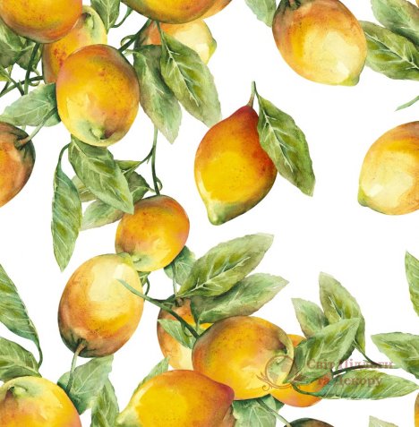 Фотообои 2 Еда и напитки, арт. 25820 фото №1