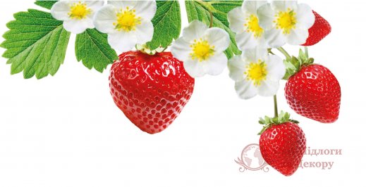 Фотообои 2 Еда и напитки, арт. 26068 фото №1