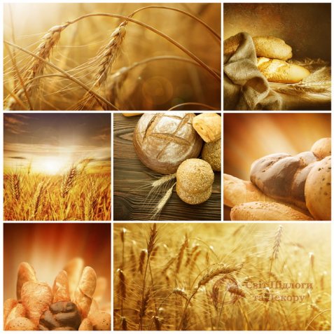 Фотообои 2 Еда и напитки, арт. 2689 фото №1