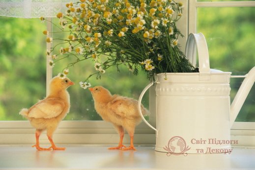 Фотообои 2 Животные, арт. 442 фото №1 Фотообои 2 Животные, арт. 442 фото №1