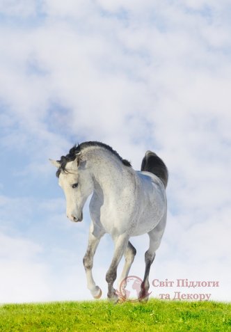 Фотообои 2 Животные, арт. 462 фото №1