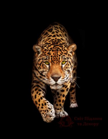 Фотообои 2 Животные, арт. 20475 фото №1 Фотообои 2 Животные, арт. 20475 фото №1