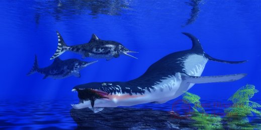 Фотообои 2 Животные, арт. 21013 фото №1