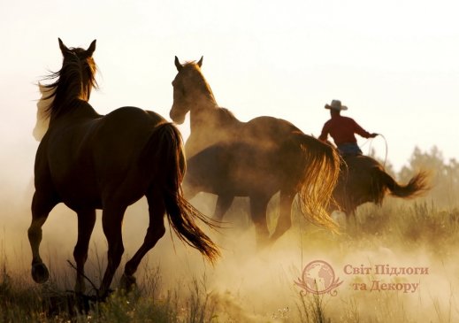 Фотообои 2 Животные, арт. 3430 фото №1