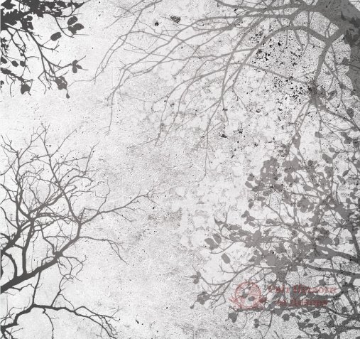 Фотошпалери 2 Лофт, арт. 23964 фото №1