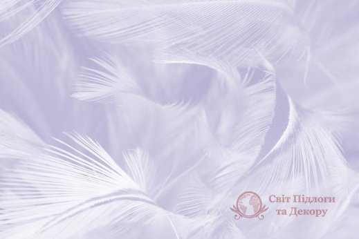 Фотошпалери 2 Пір'я, арт. 21573 фото №1