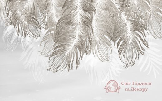 Фотообои 2 Перья, арт. 22189 фото №1