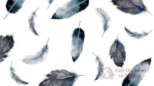 Фотошпалери 2 Пір'я, арт. 20157 фото №1