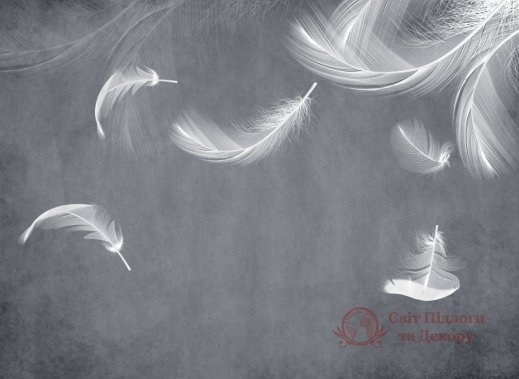 Фотообои 2 Перья, арт. 28025 фото №1