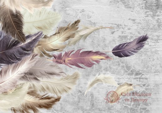 Фотообои 2 Перья, арт. 29245 фото №1 Фотообои 2 Перья, арт. 29245 фото №1