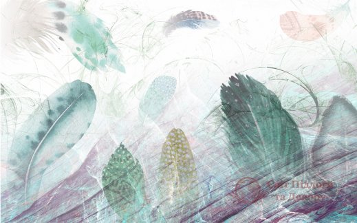 Фотошпалери 2 Пір'я, арт. 29274 фото №1