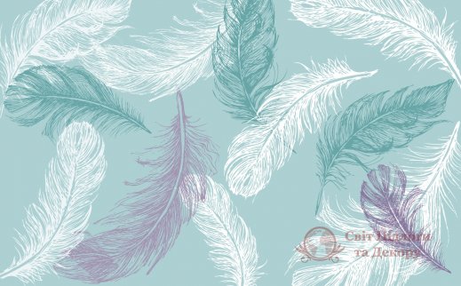 Фотошпалери 2 Пір'я, арт. 29978 фото №1