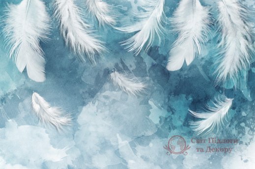 Фотообои 2 Перья, арт. 31198 фото №1