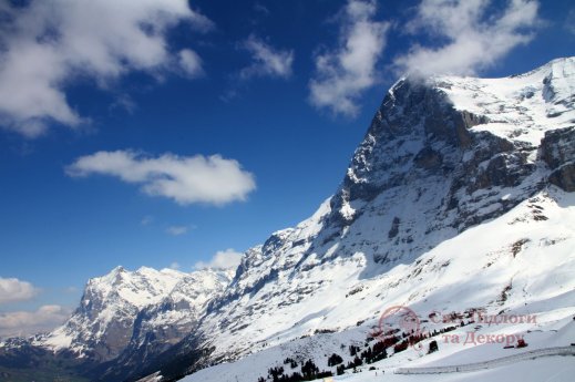 Фотошпалери 2 Природа, арт. 20443 фото №1