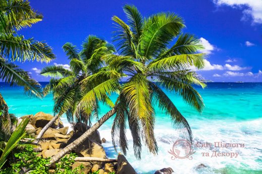 Фотообои 2 Природа, арт. 20854 фото №1