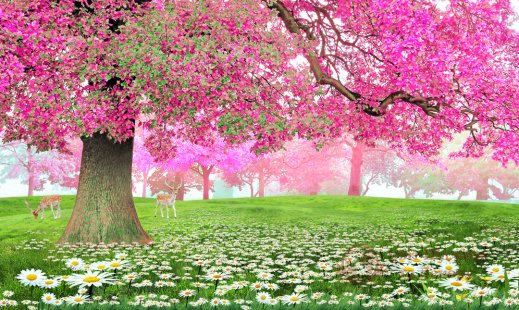 Фотообои 2 Природа, арт. 22916 фото №1