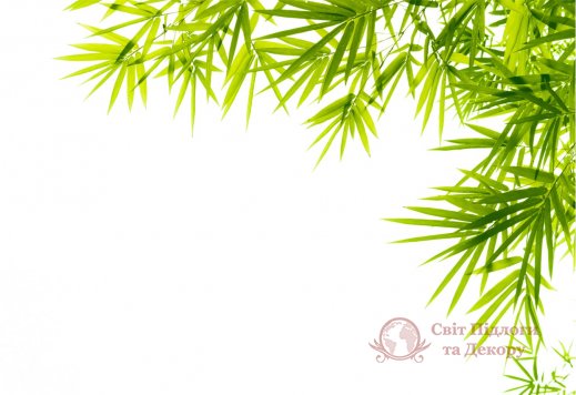 Фотообои 2 Природа, арт. 23459 фото №1