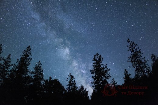 Фотообои 2 Природа, арт. 25959 фото №1