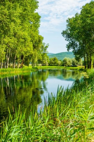 Фотообои 2 Природа, арт. 26135 фото №1 Фотообои 2 Природа, арт. 26135 фото №1