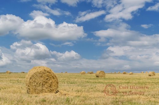 Фотообои 2 Природа, арт. 26146 фото №1