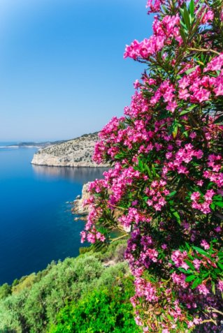 Фотообои 2 Природа, арт. 27340 фото №1