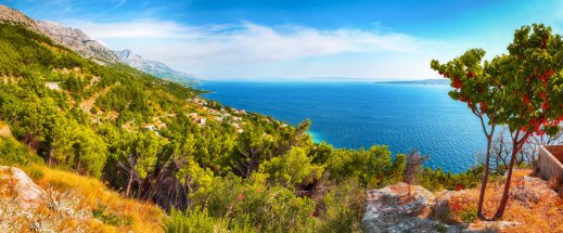 Фотошпалери 2 Природа, арт. 27437 фото №1