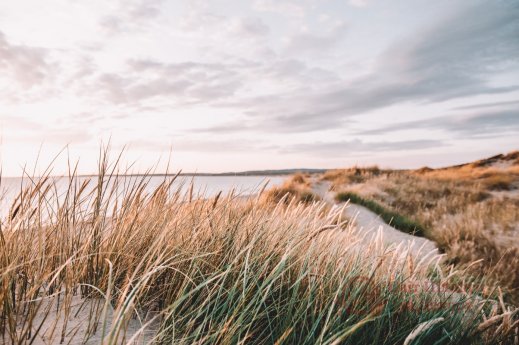 Фотошпалери 2 Природа, арт. 27646 фото №1