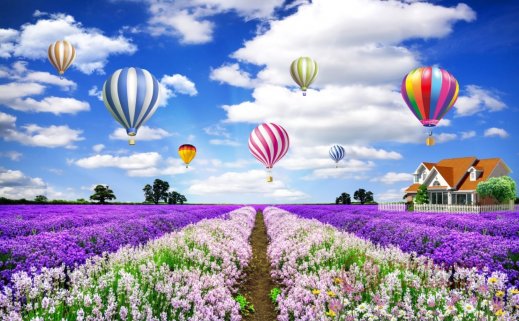 Фотообои 2 Природа, арт. 29918 фото №1 Фотообои 2 Природа, арт. 29918 фото №1