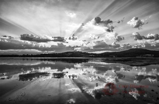 Фотошпалери 2 Природа, арт. 30922 фото №1