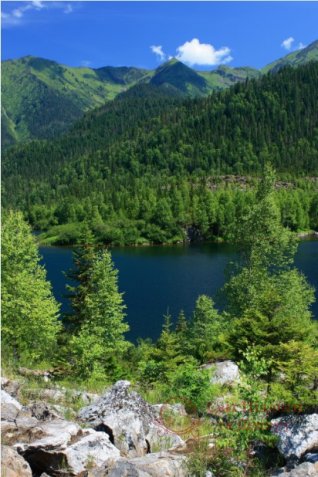 Фотообои 2 Природа, арт. 9992 фото №1