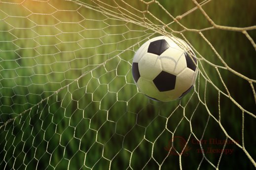 Фотообои 2 Спорт, арт. 21084 фото №1