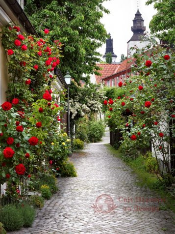 Фотошпалери 2 Старовинні вулички, арт. 8570 фото №1