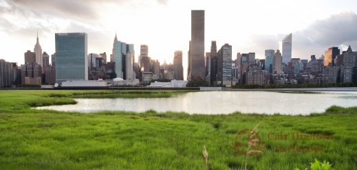 Фотообои 1 Страны, арт. cts0388_118800100 фото №1