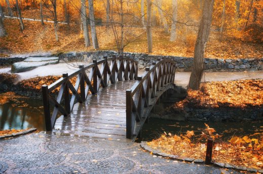 Фотошпалери 1 Країни, арт. 155048183 фото №1