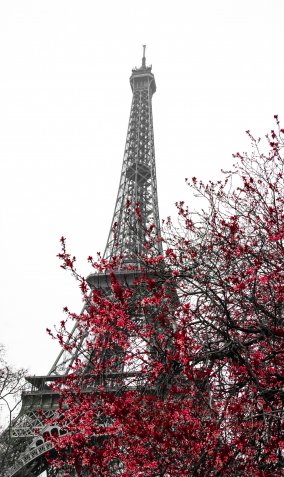 Фотообои 1 Страны, арт. 185900849_2 фото №1